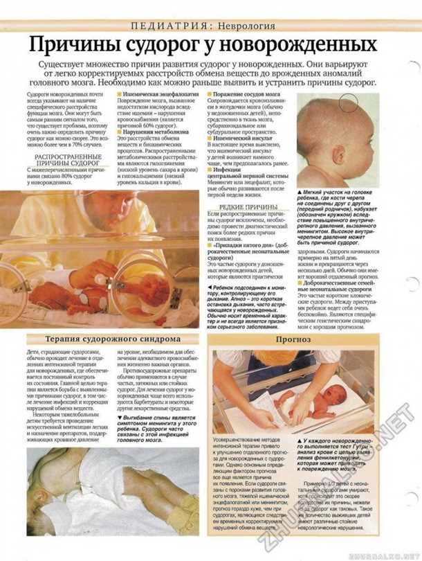 Влияние нервной системы на функцию и здоровье суставов у детей