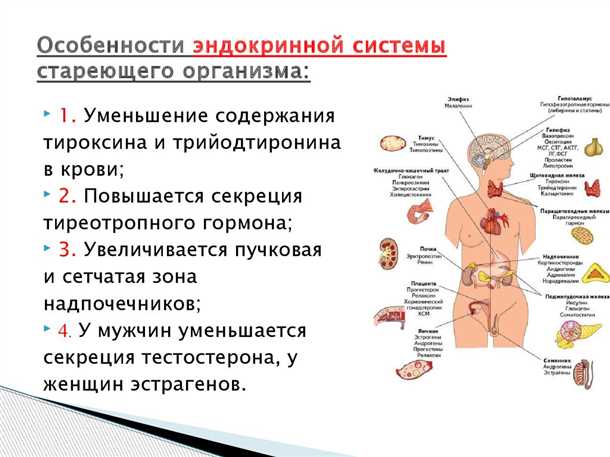 Влияние неврологических расстройств на работу эндокринной системы