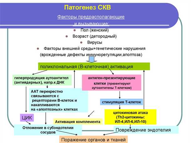 Причины появления системной красной волчанки