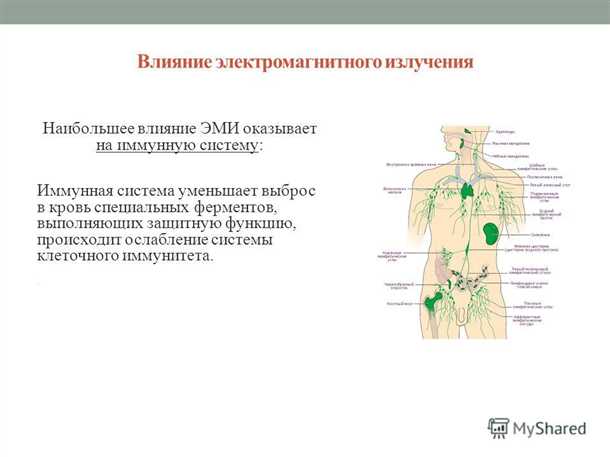 Механизмы контроля генных процессов