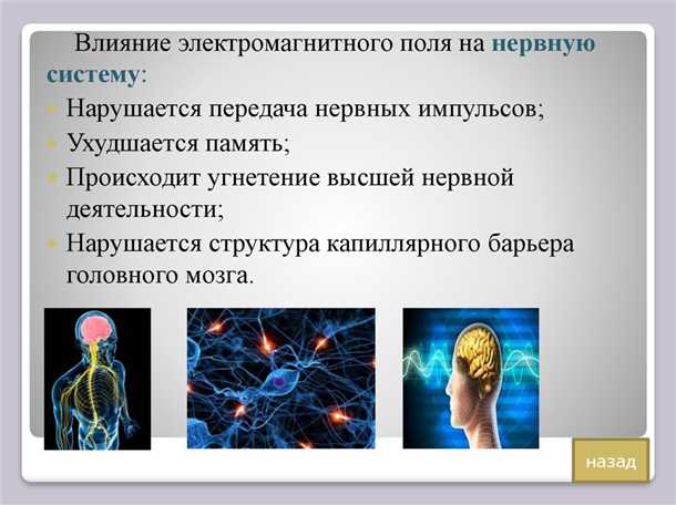 Механизмы действия электромагнитных полей на мембрану клеток