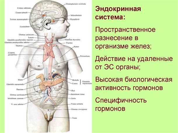 2. Проблемы с концентрацией и памятью.