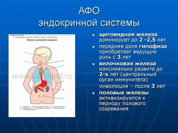 Неврологические аспекты заболеваний эндокринной системы у детей