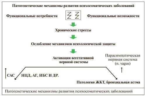 Особенности работы головного и спинного мозга при психосоматических расстройствах