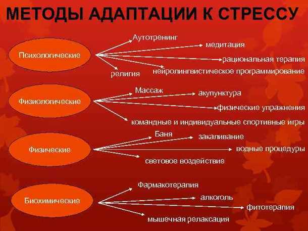 Влияние стресса на пищеварительную систему