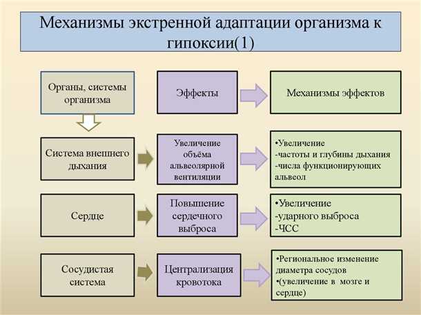 Неврологические механизмы адаптации к хроническому стрессу.