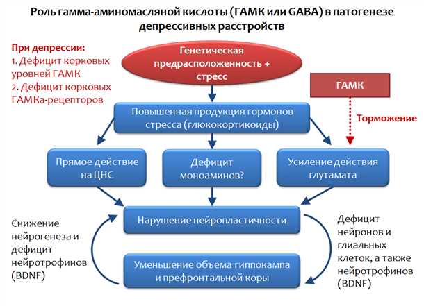 Влияние дисбаланса нейротрансмиттеров на проявление депрессивных симптомов