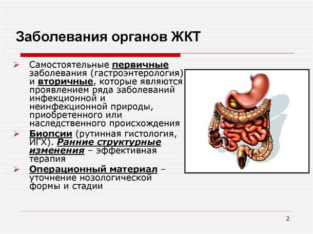 Взаимосвязь между неврологическими и желудочно-кишечными заболеваниями