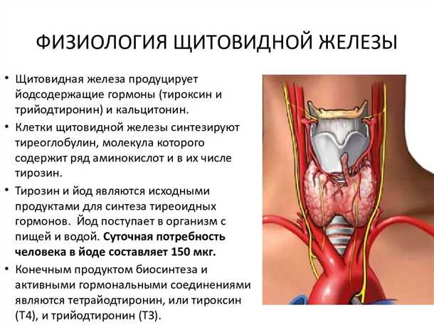 Аутоагрессивное поведение и изменения настроения при проблемах с щитовидной железой