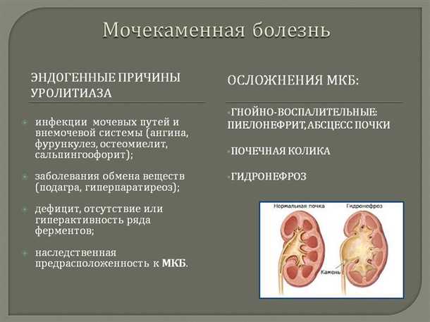 Роль почек в организме