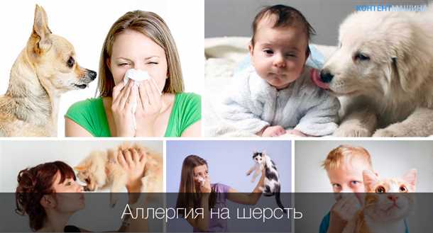 Неврологические проявления при детской аллергической реакции на шерсть домашних животных.