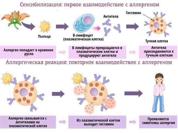 1. Головная боль