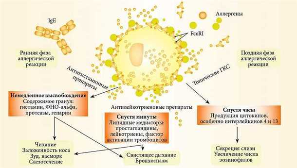 Риски солнечной радиации