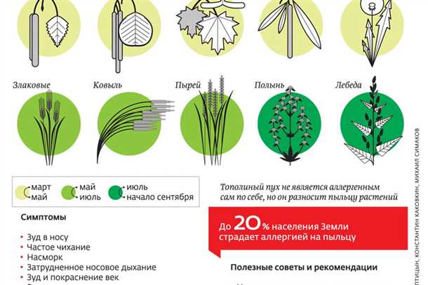 Неврологические проявления при детской аллергии на растительные пыльцы.