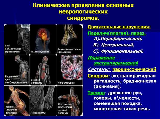 Влияние воспаления и оксидативного стресса на развитие неврологических симптомов на коже