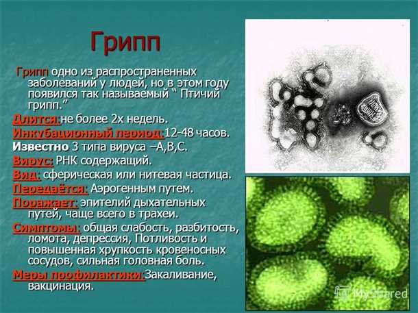 Воздействие герпеса на нервные клетки