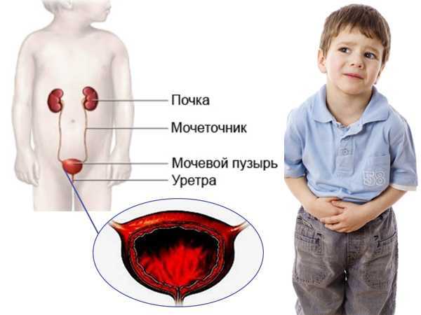 Влияние нарушенной нервной связи
