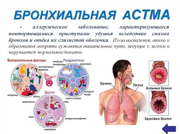 Влияние на функцию мозга