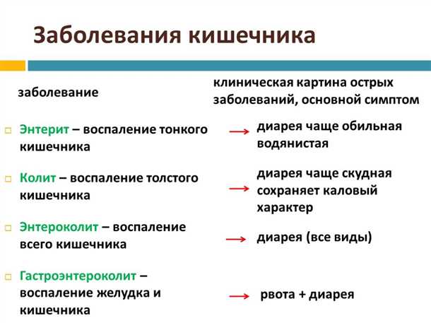 Влияние на деятельность пищеварительной системы