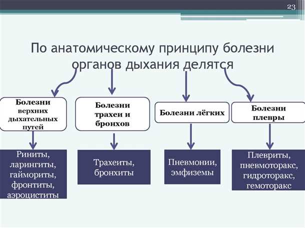 Механизмы возникновения невромоторных нарушений