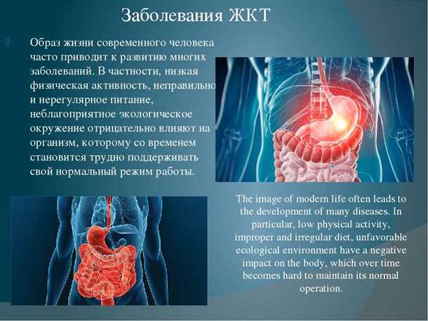 Влияние проблем ЖКТ на головные боли и мигрени