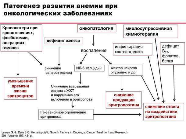 Невропатии и невриты при онкологических заболеваниях: клинические аспекты и подходы к лечению.