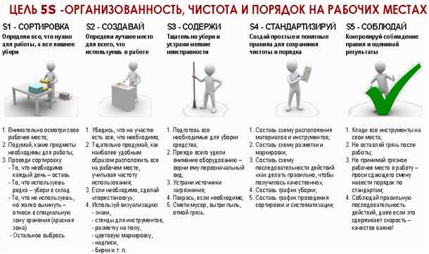 Бактерии в нашем организме