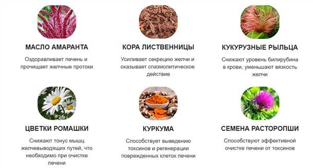 Рыба