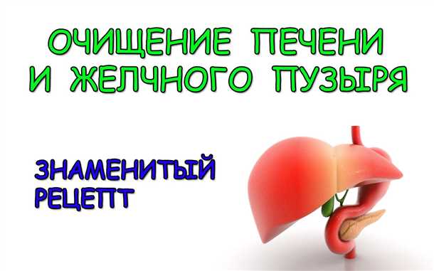 Очищение желчного пузыря