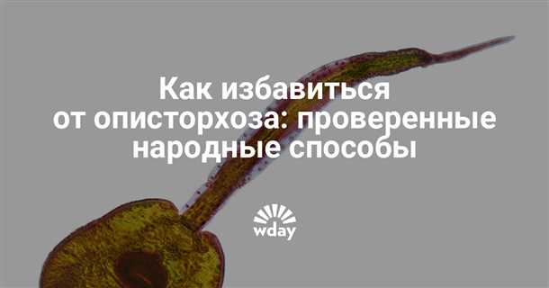 2. Грецкий орех