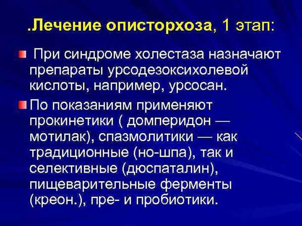 Описторхоз: лечение народными средствами