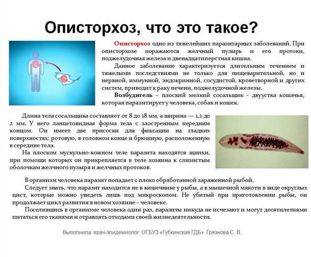 Какой вред наносит описторхоз?
