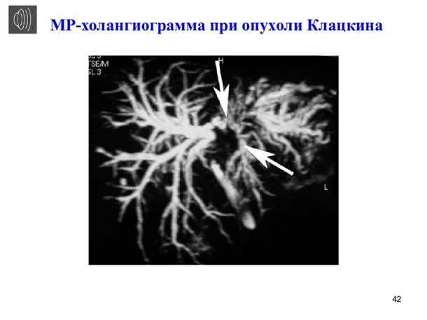 Клиническое обследование