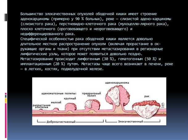 Пол