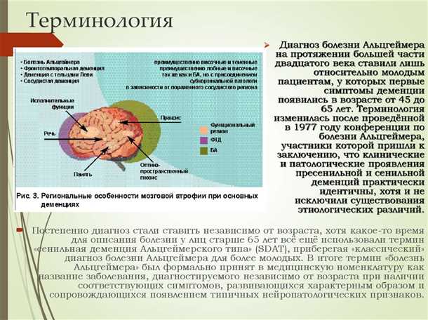 Влияние эстрогенов на функцию мозга