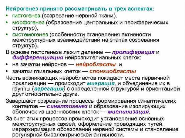Влияние на пластичность мозга