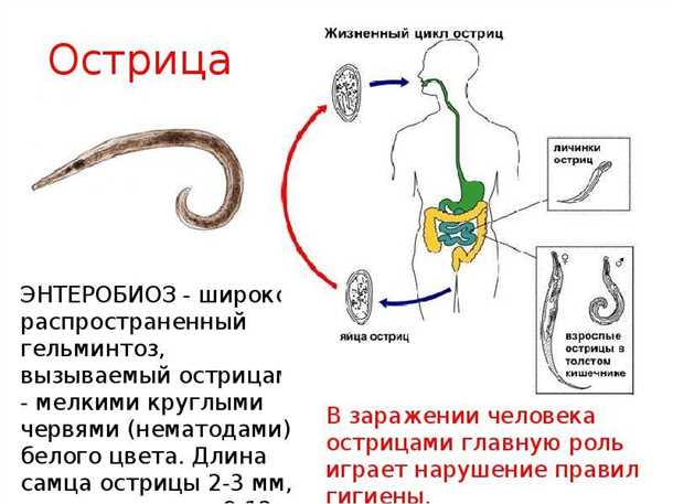 Использование клизмы для лечения остриц