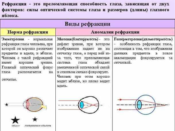 2. Периметрия
