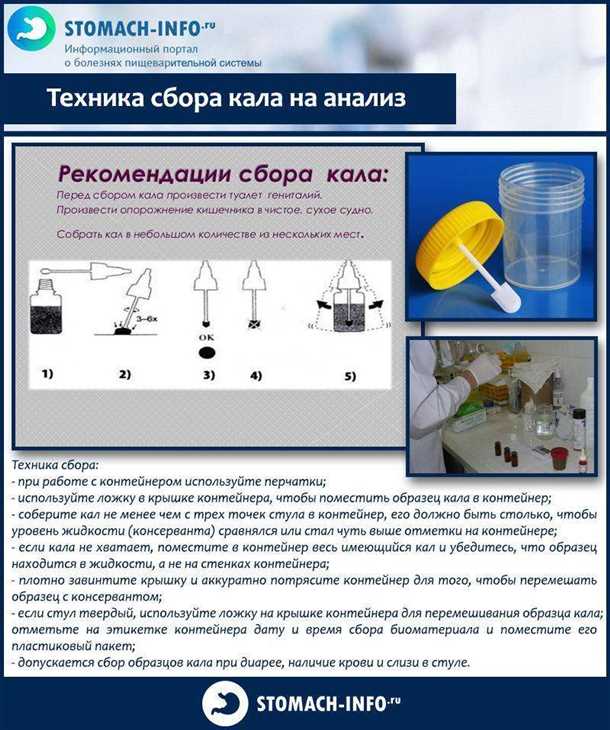 3. Соберите новый образец кала