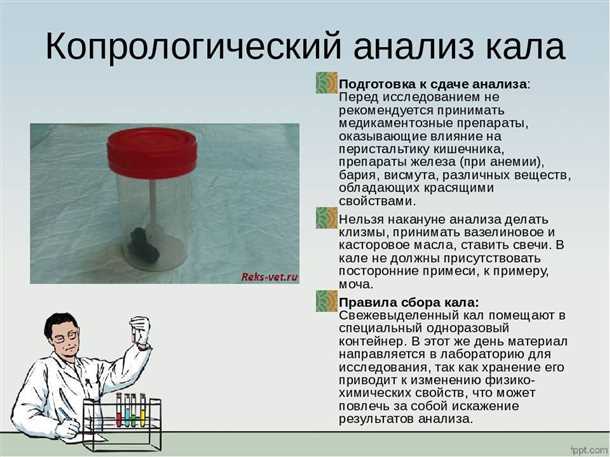 11. Как правильно подготовиться к сдаче анализа кала