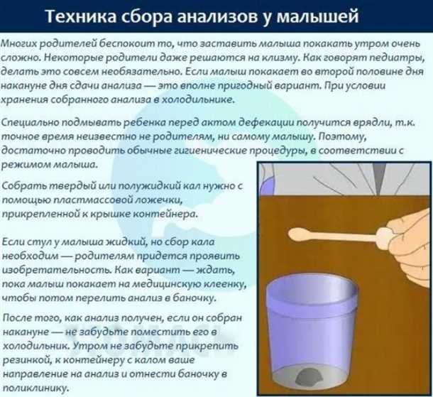 Соблюдение правил гигиены