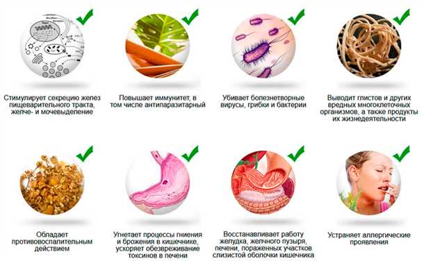 Исключение продуктов, способствующих размножению паразитов