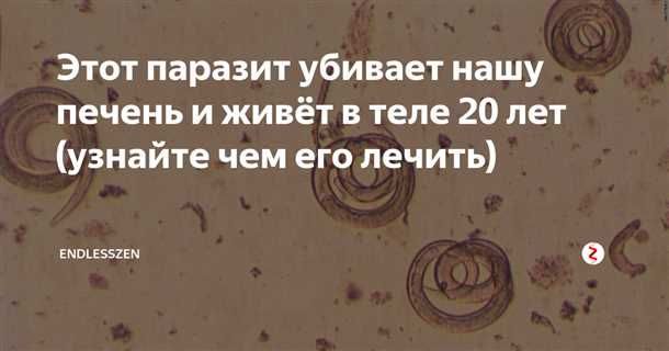 2. Нарушение гигиенических правил