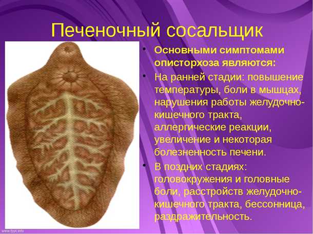 Фасциолез
