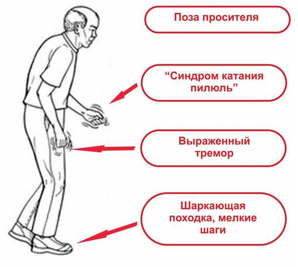 2. Инструментальные методы диагностики