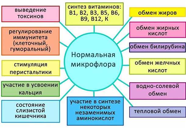 Методы лечения патогенной микрофлоры кишечника