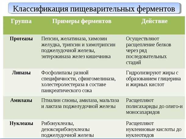 Липазы