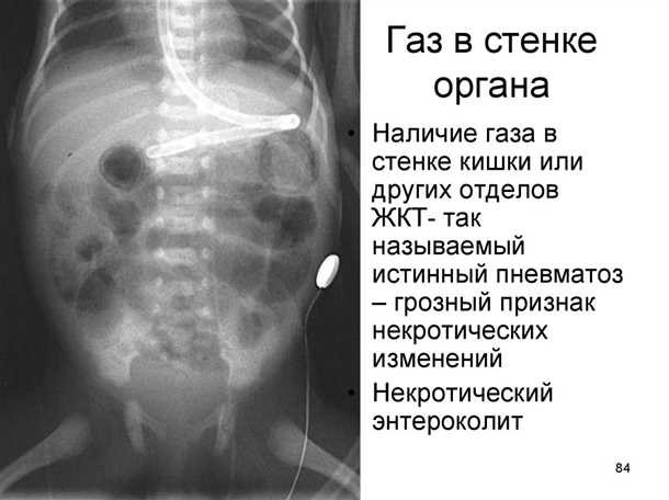4. Газы и румянение
