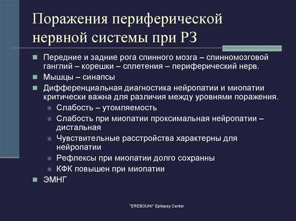 Роль витаминов А и Е в поддержании здоровья нервов