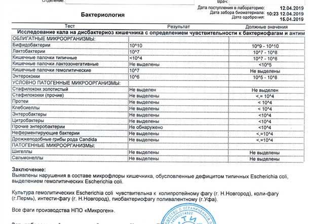 Посев кала на дисбактериоз: подготовка, проведение и расшифровка